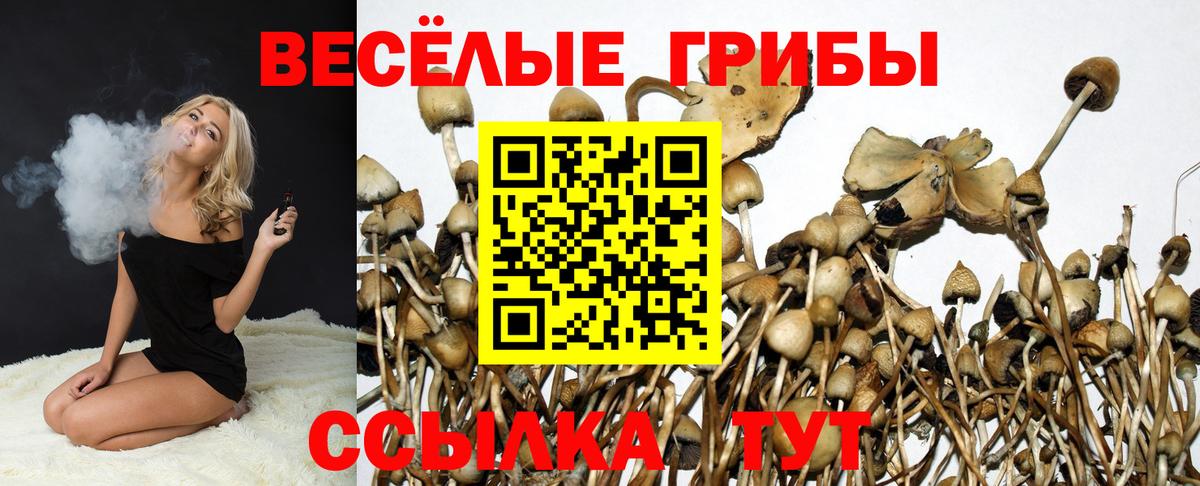 Ливны  Псилоцибиновые грибы Magic Shrooms  Вход с VPN 